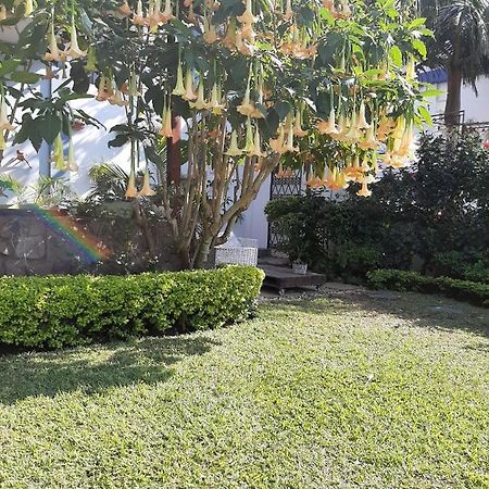 Figtree Guesthouse Maputo Eksteriør billede