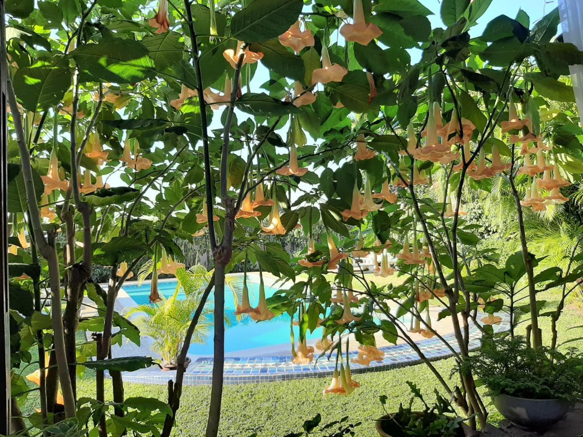 Figtree Guesthouse Maputo Eksteriør billede