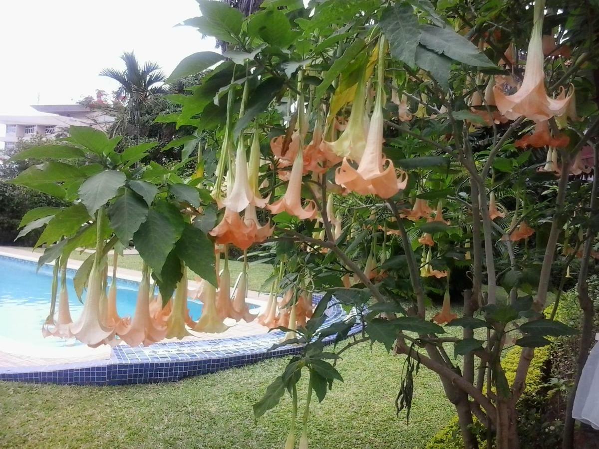Figtree Guesthouse Maputo Eksteriør billede