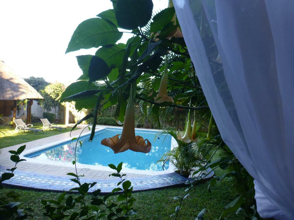 Figtree Guesthouse Maputo Eksteriør billede